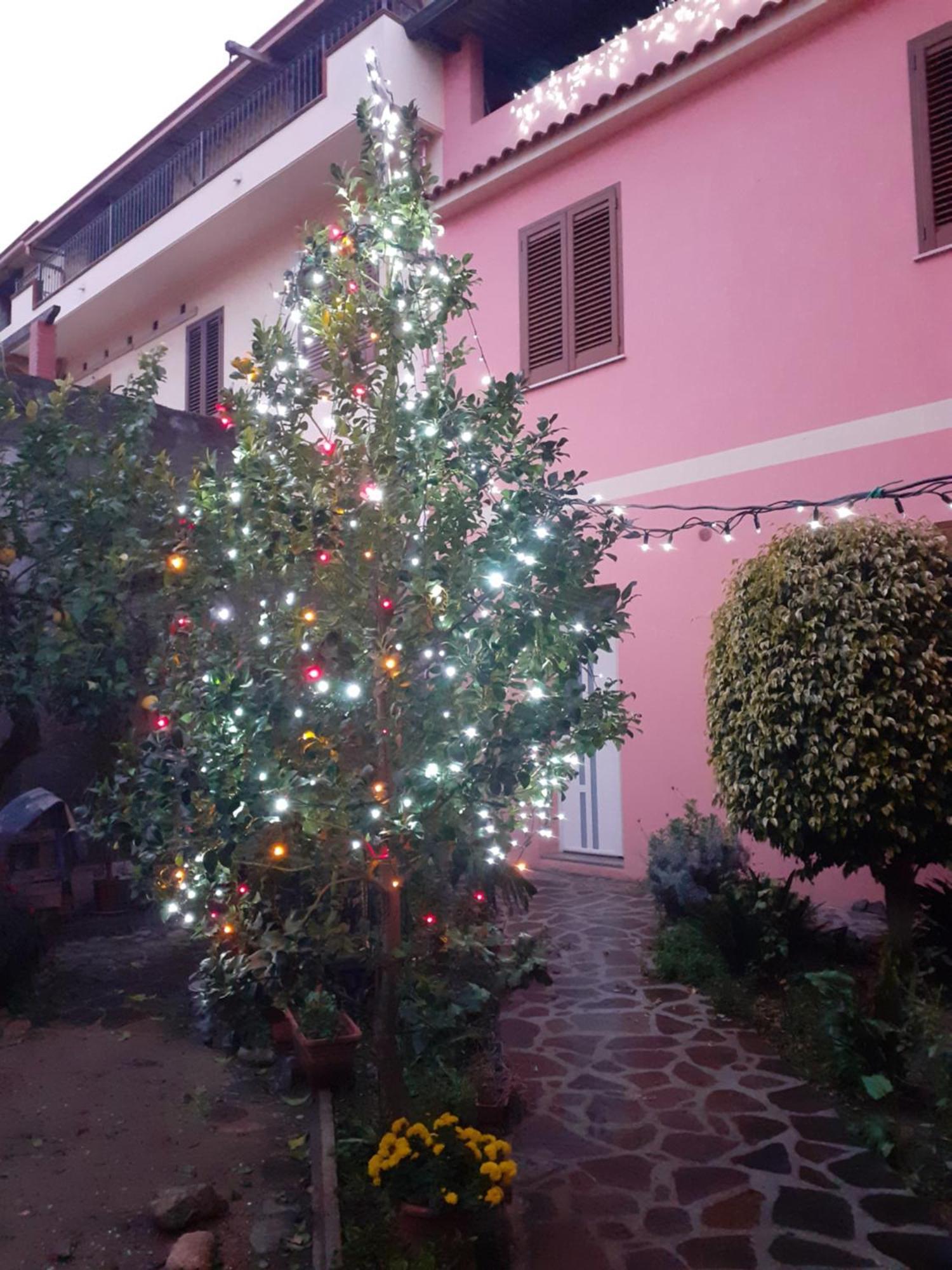 L'Agrifoglio Di Emy Bed & Breakfast Guspini Exterior photo